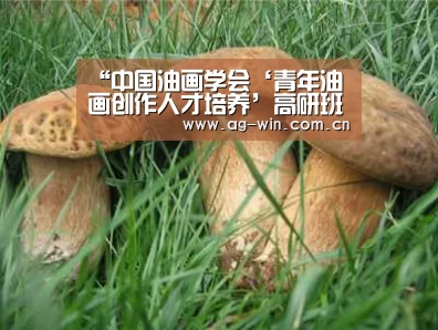 AG娱乐